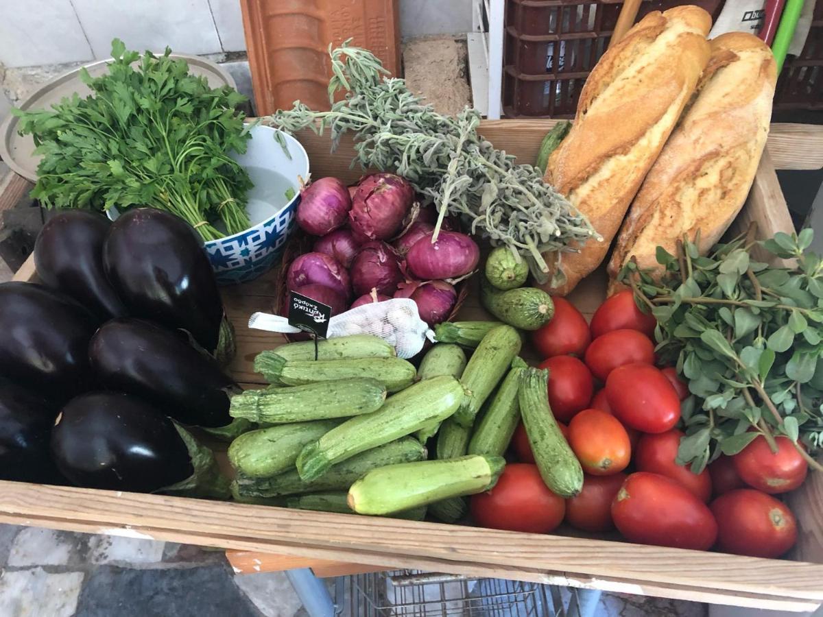 Gabriellas Garden Palaiokastro  Dış mekan fotoğraf