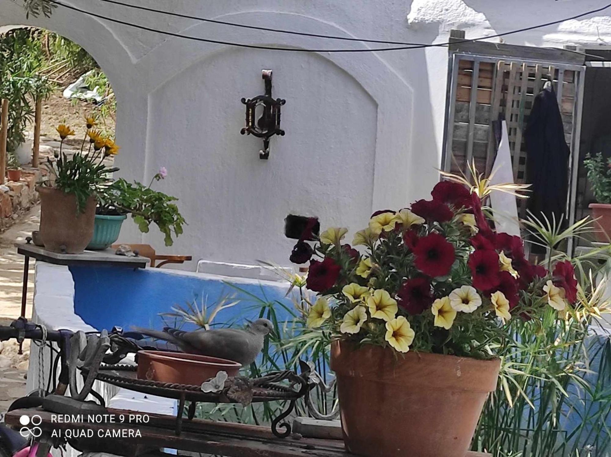 Gabriellas Garden Palaiokastro  Dış mekan fotoğraf