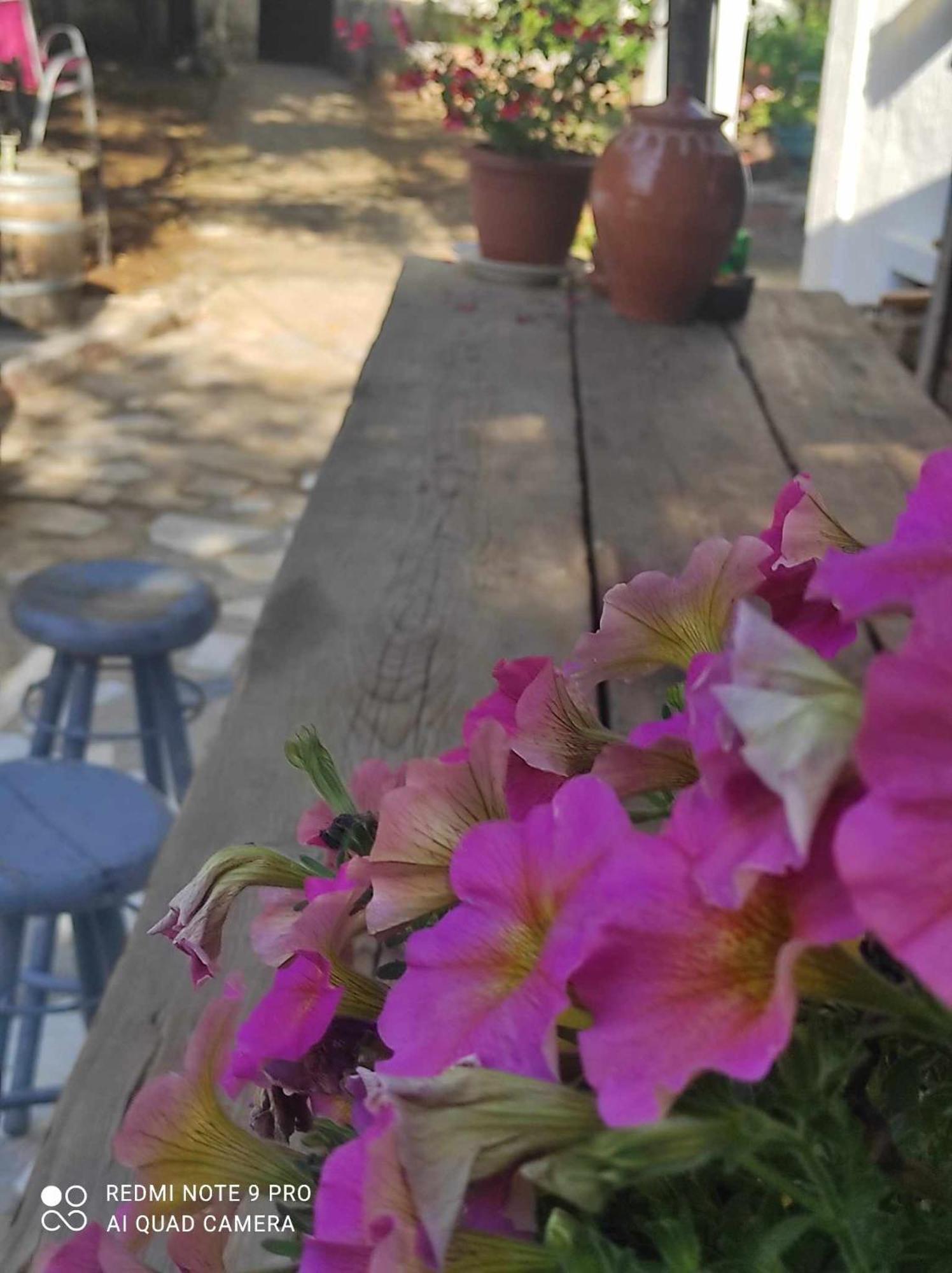 Gabriellas Garden Palaiokastro  Dış mekan fotoğraf