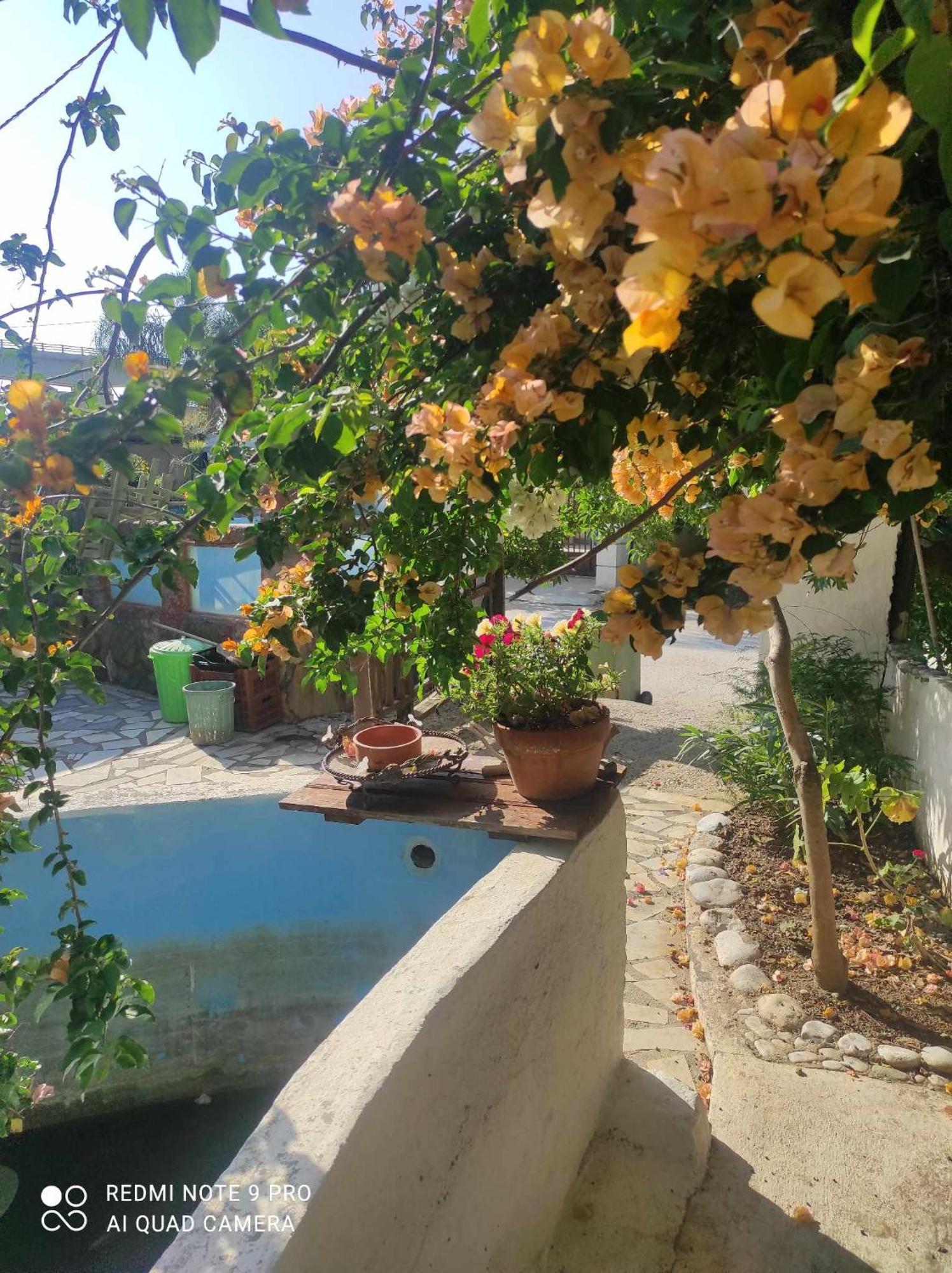 Gabriellas Garden Palaiokastro  Dış mekan fotoğraf